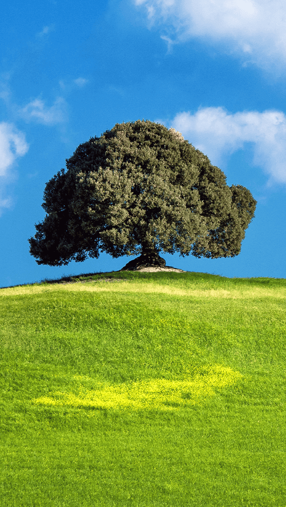Environmental